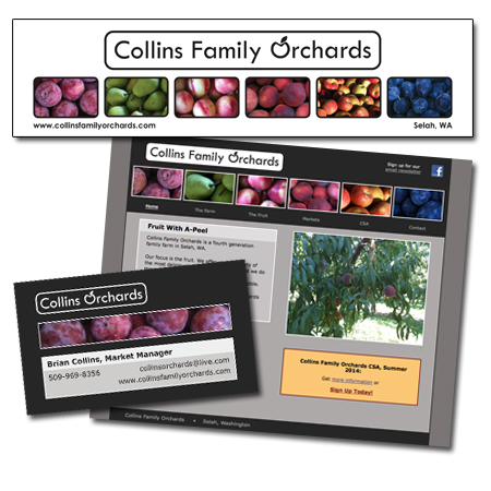 Collins Family Orchards Collins Family Orchards