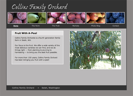 Collins Family Orchard website