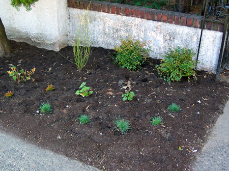 Landsdowne Manor just planted